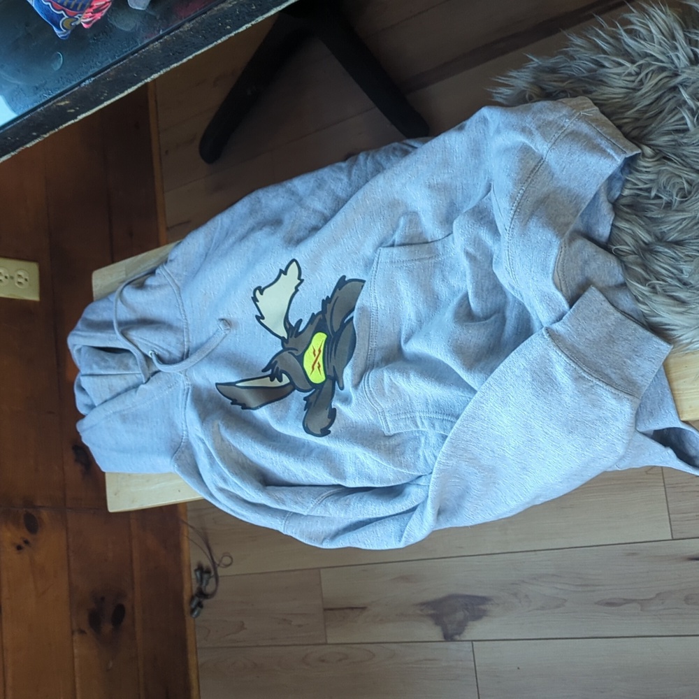Raid Team hoodie